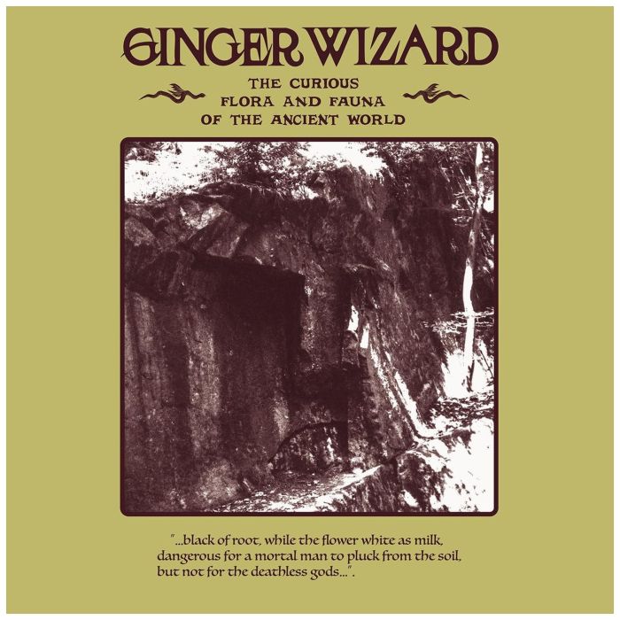 GINGER WIZARD - CURIOUS FLORA & FAUNA OF THE ANCIENT WORLD