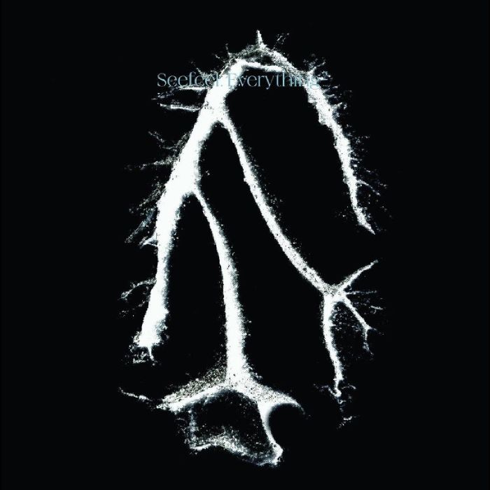 SEEFEEL - EVERYTHING SQUARED