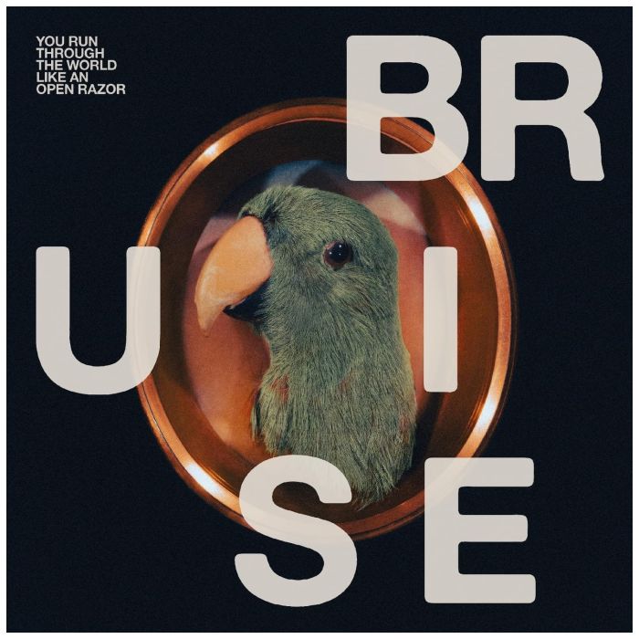 BRUISE BLOOD - YOU RUN THROUGH THE WORLD LIKE AN OPEN RAZOR