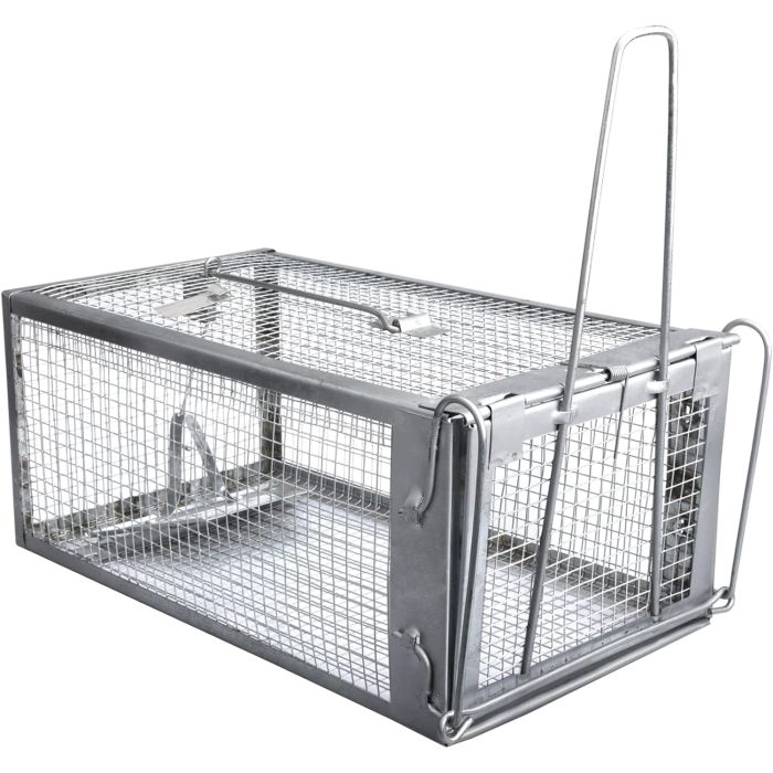 RAT CAGE - NOT ASKING FOR MUCH