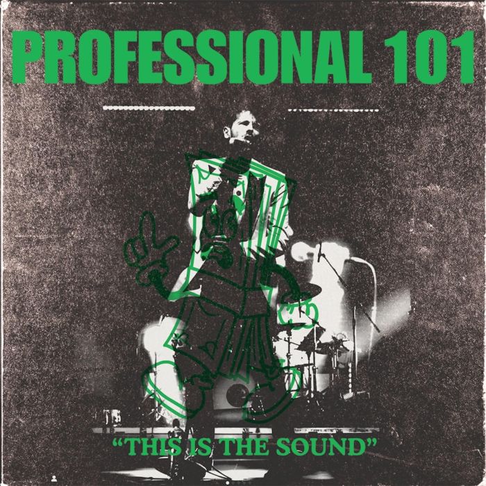 PROFESSIONAL 101 - THIS IS THE SOUND