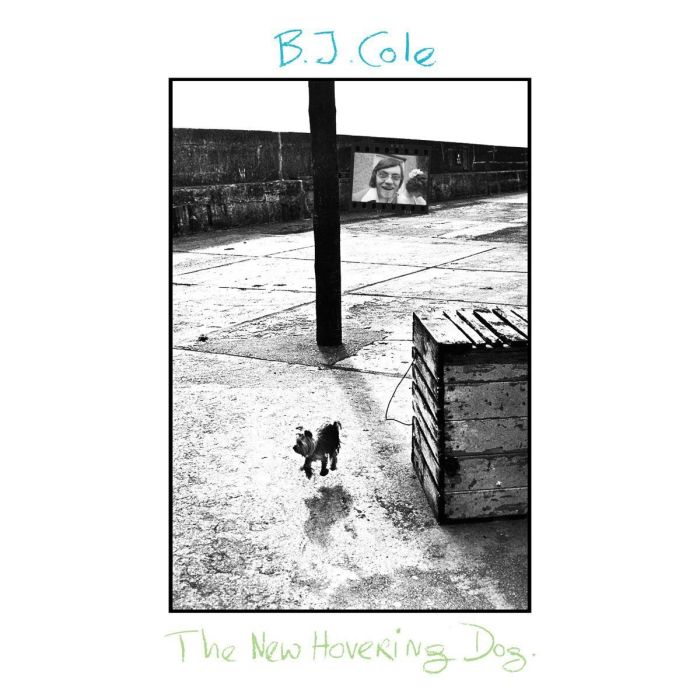 BJ COLE - NEW HOVERING DOG