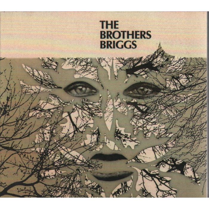 BROTHERS BRIGGS - BROTHERS BRIGGS