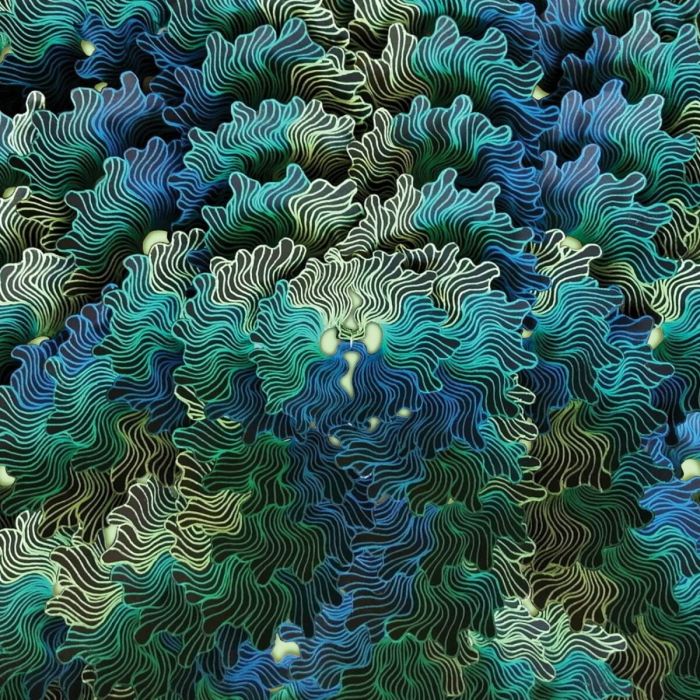 IZANGOMA - NGO MA