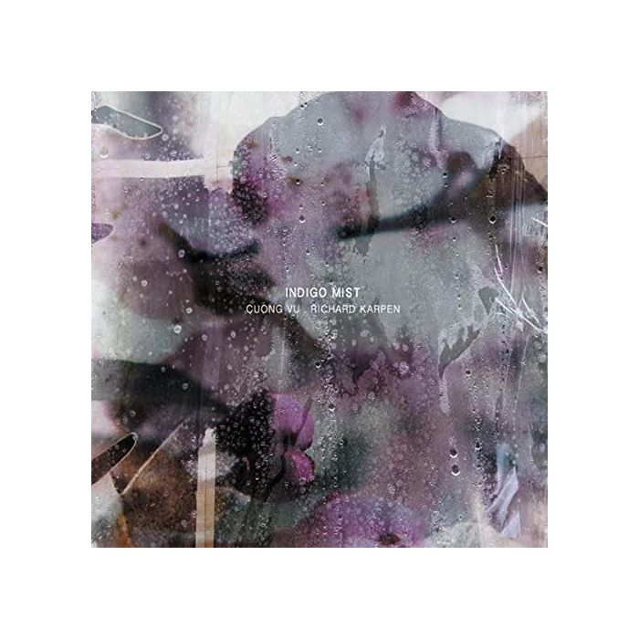 INDIGO MIST - THAT THE DAYS GO BY & NEVER COME AGAIN