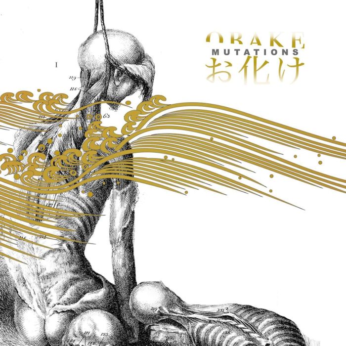 OBAKE - MUTATIONS