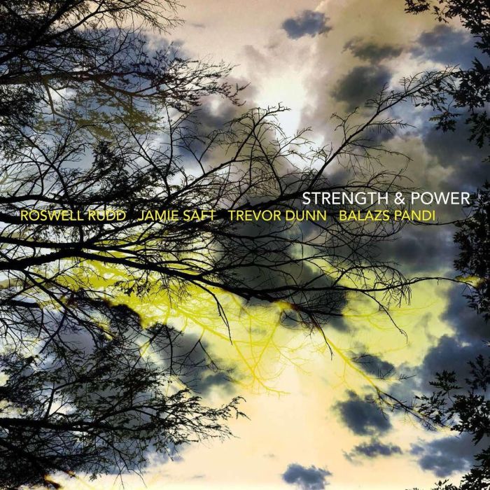 VARIOUS ARTISTS - STRENGTH & POWER