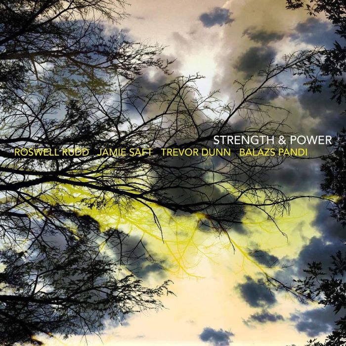 RUDD,ROSWELL / SAFT,JAMIE / DUNN,TREVOR DUNN / PANDI,BALAZS - STRENGTH & POWER