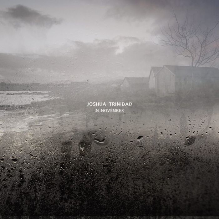 JOSHUA TRINIDAD - IN NOVEMBER