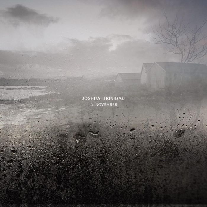 JOSHUA TRINIDAD - IN NOVEMBER