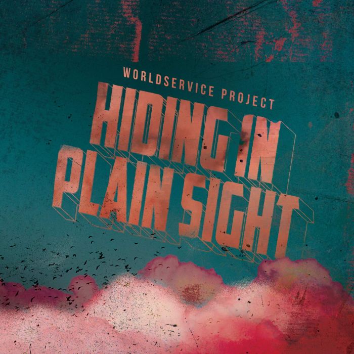 WORLDSERVICE PROJECT - HIDING IN PLAIN SIGHT