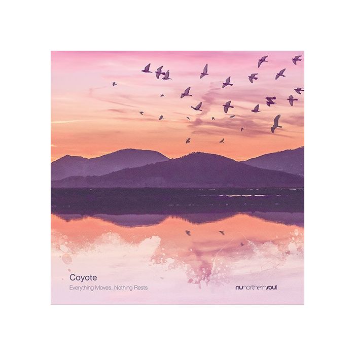 COYOTE - EVERYTHING MOVES, NOTHING RESTS