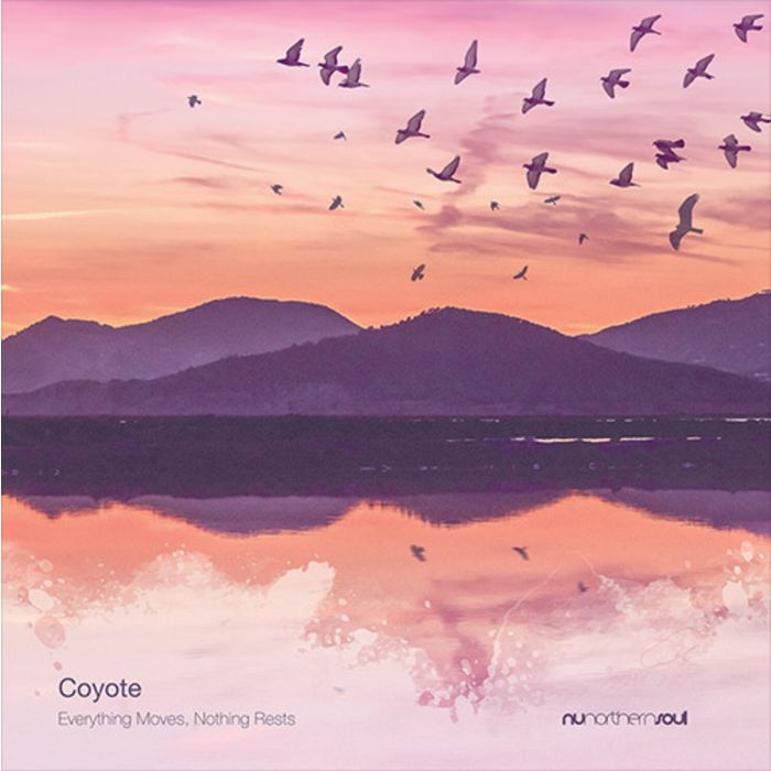 COYOTE - EVERYTHING MOVES, NOTHING RESTS