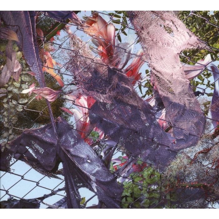 KINGDOM - TEARS IN THE CLUB