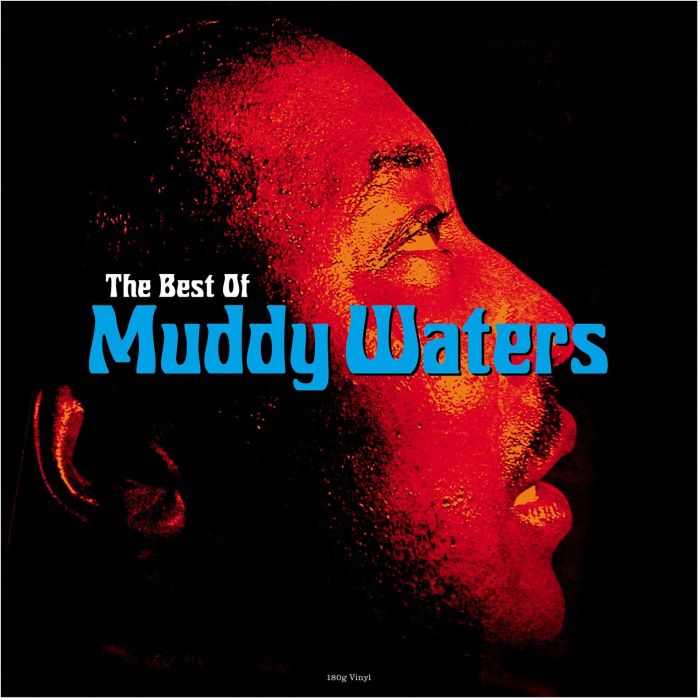 MUDDY WATERS - BEST OF MUDDY WATERS (180G)