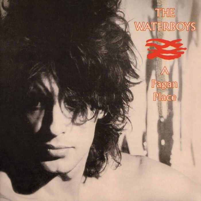 WATERBOYS - PAGAN PLACE
