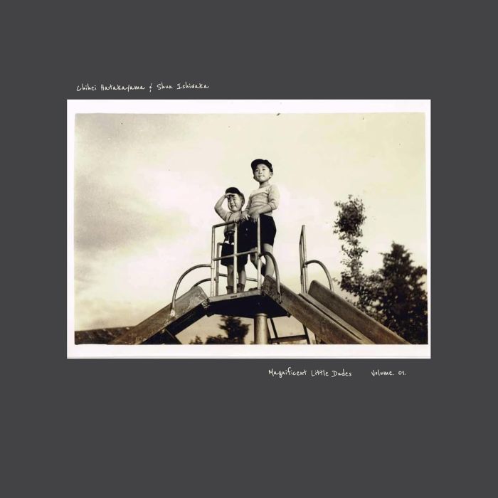 HATAKAYAMA,CHIHEI & SHUN ISHIWAKA - MAGNIFICENT LITTLE DUDES VOL. 1
