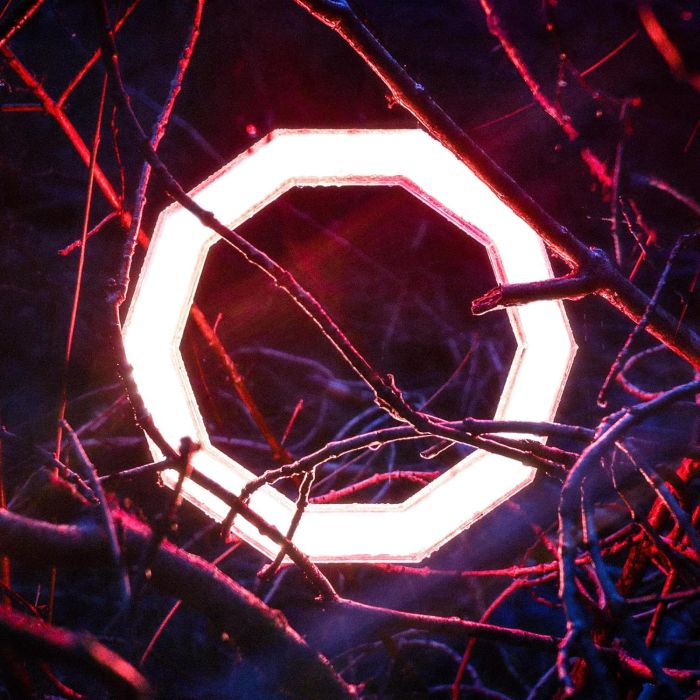 HYBRID MINDS - REFLECTIONS