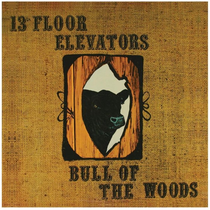 13TH FLOOR ELEVATORS - BULL OF THE WOODS