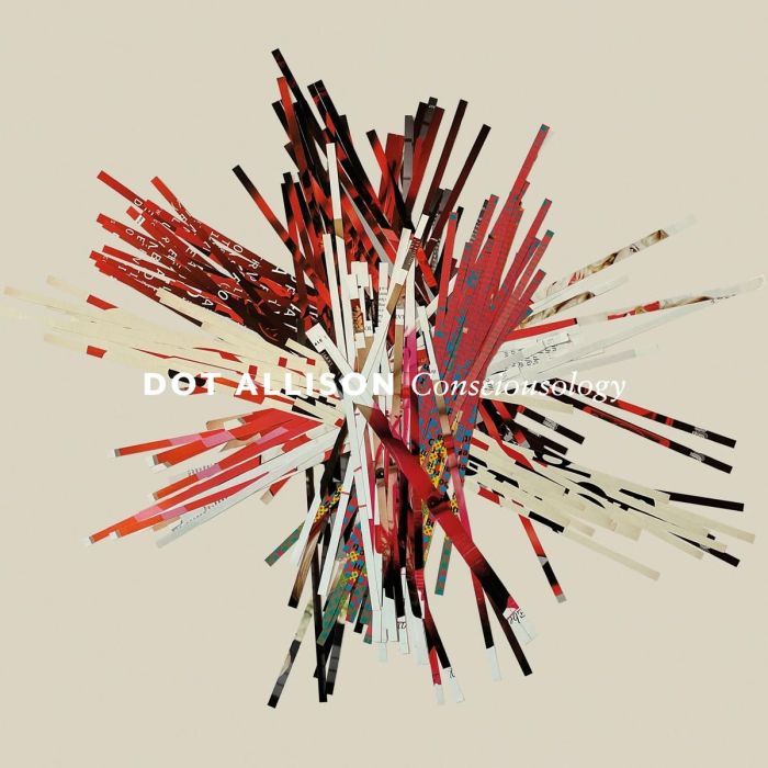 DOT ALLISON - CONSCIOUSOLOGY
