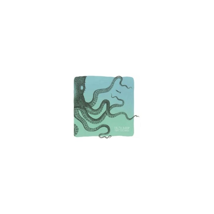 DELTA SLEEP - TWIN GALAXIES (10 YEAR ANNIVERSARY EDITION) (BLUE & GREEN VINYL)