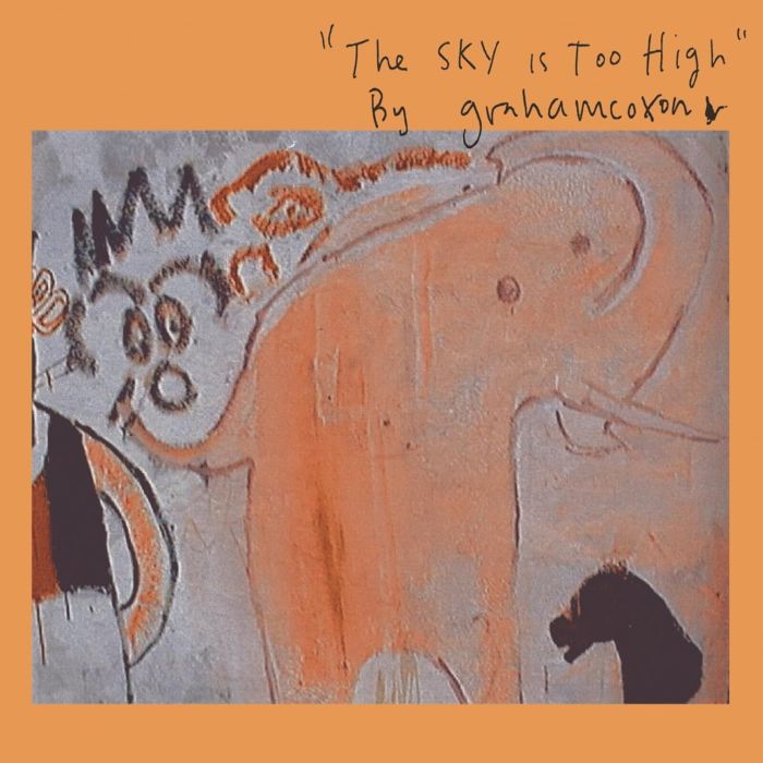 GRAHAM COXON - SKY IS TOO HIGH