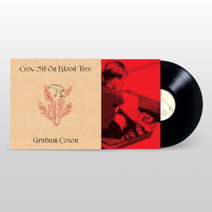 GRAHAM COXON - CROW SIT ON BLOOD TREE