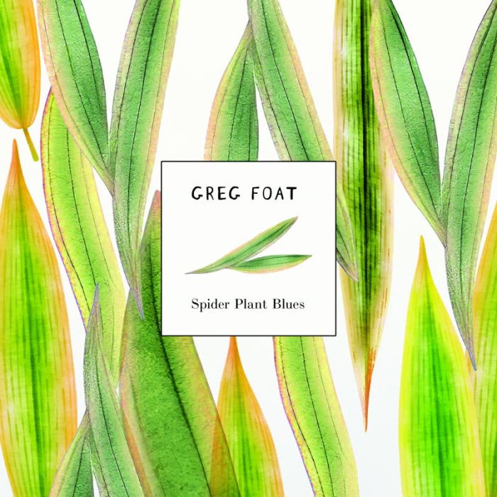 GREG FOAT - SPIDER PLANT BLUES