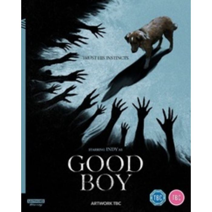 GOOD BOY (4K UHD)