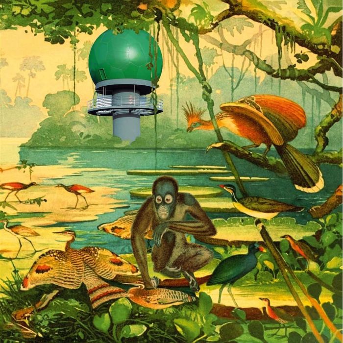 VARIOUS ARTISTS - RADAR 2