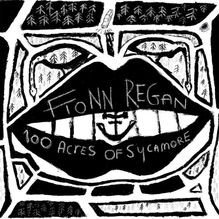 FIONN REGAN - 100 ACRES OF SYCAMORE