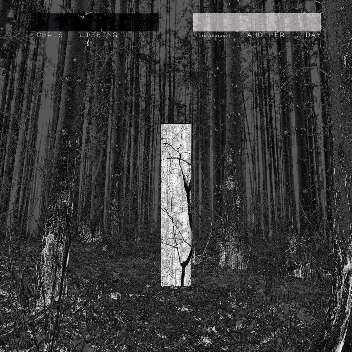 CHRIS LIEBING - ANOTHER DAY
