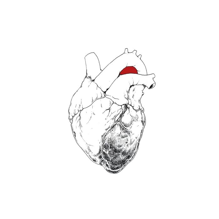 SWANS - BEGGAR