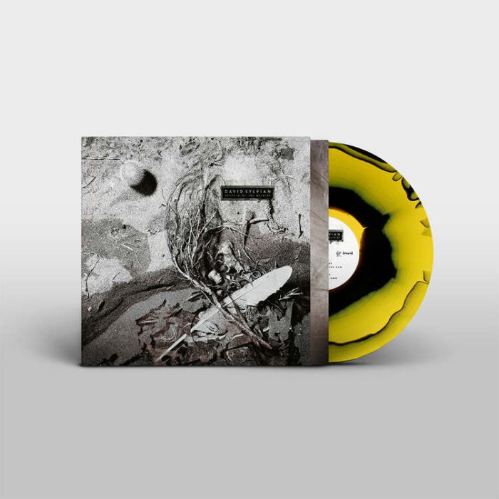 DAVID SYLVIAN - Secrets Of The Beehive (COLOR LP)