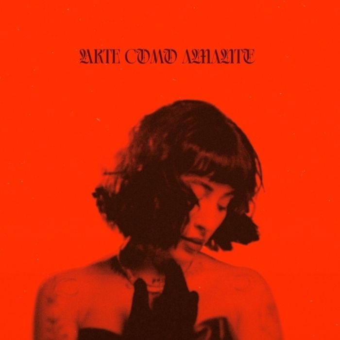 INDIRA PAGANOTTO - ARTE COMO AMANTE