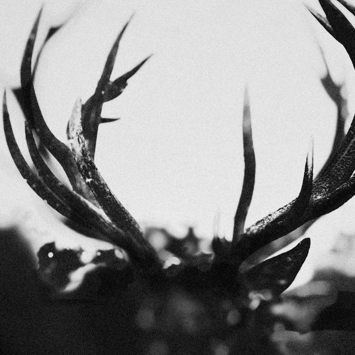 IHSAHN - IHSAHN