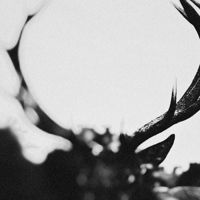 IHSAHN - IHSAHN (ORCHESTRAL VERSION) (CLEAR W/ BLACK SMOKE VINYL/2LP)
