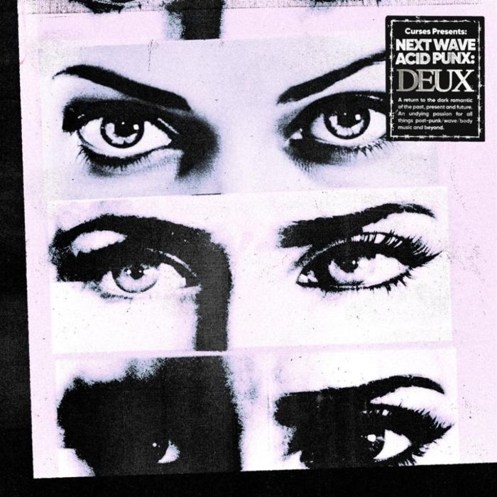 VARIOUS ARTISTS - CURSES PRESENTS: NEXT WAVE ACID PUNX - DEUX