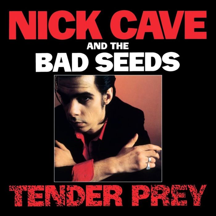 CAVE,NICK & THE BAD SEEDS - TENDER PREY