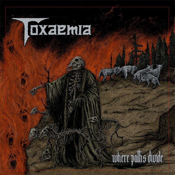 TOXAEMIA - WHERE PATHS DIVIDE
