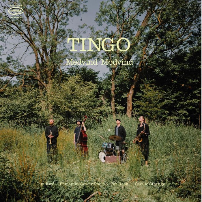 TINGO - MEDVIND MODVIND