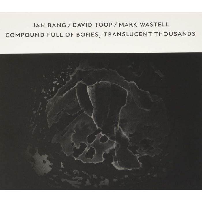 JAN; DAVID TOOP; MARK WASTELL BANG - COMPOUND FULL OF BONES, TRANSLUCENT THOUSANDS