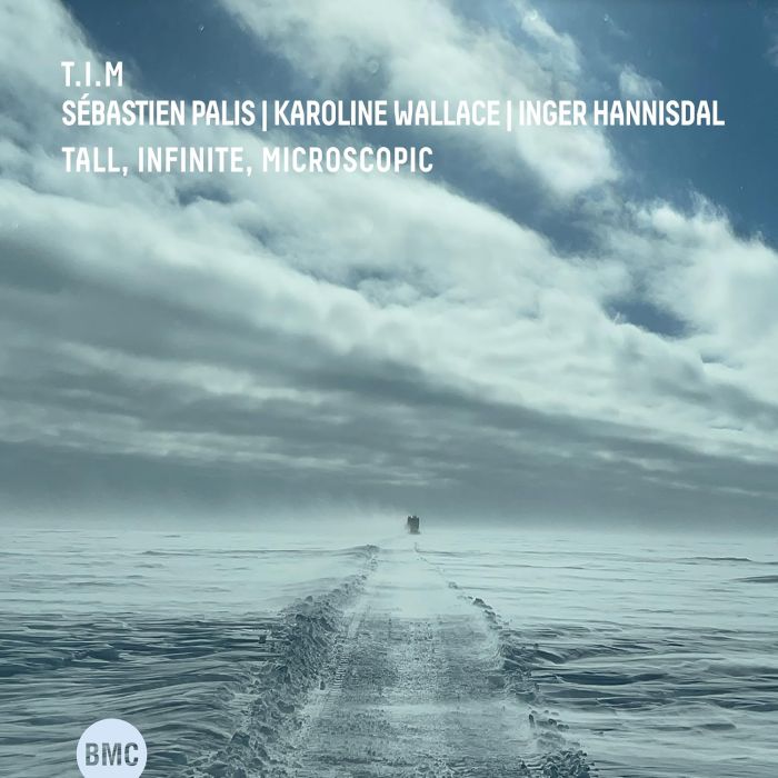 T.I.M. - TALL, INFINITE, MICROSCOPIC