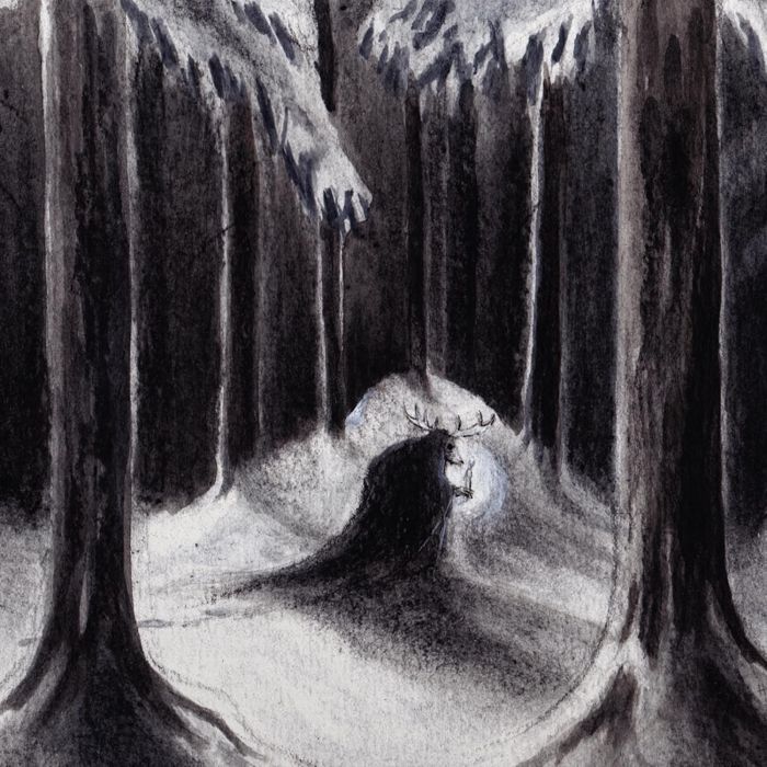 HAVUKRUUNU - HAVULINNAAN