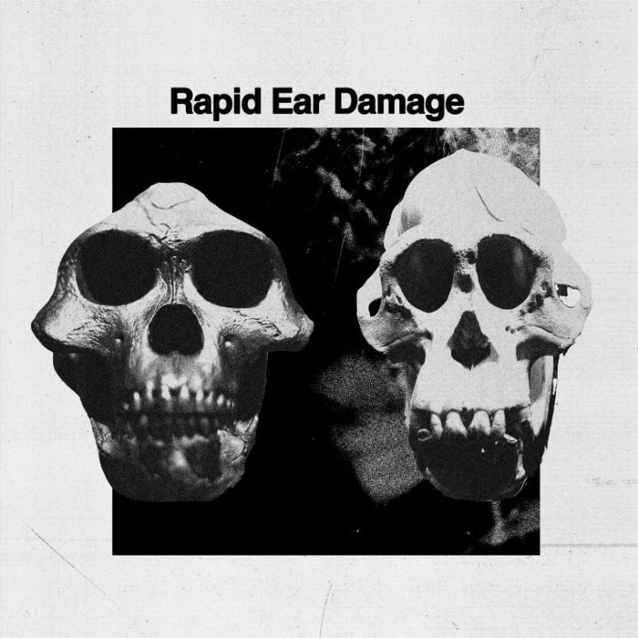 RAPID EAR DAMAGE - R.E.D.