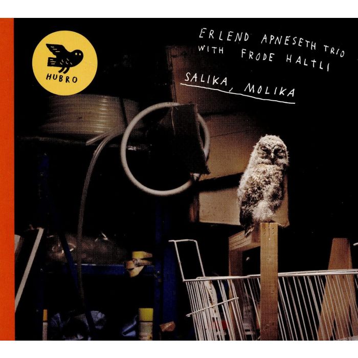 ERLEND APNESETH TRIO & FRODE HALTLI - SALIKA, MOLIKA