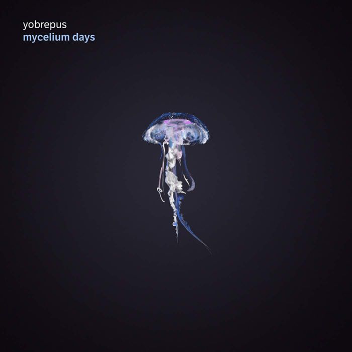 YOBREPUS - MYCELIUM DAYS