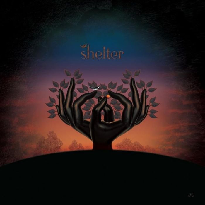 LAUGHING STOCK - SHELTER