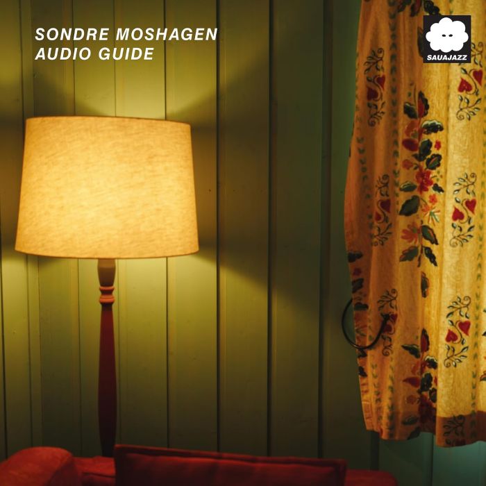 SONDRE MOSHAGEN - AUDIO GUIDE