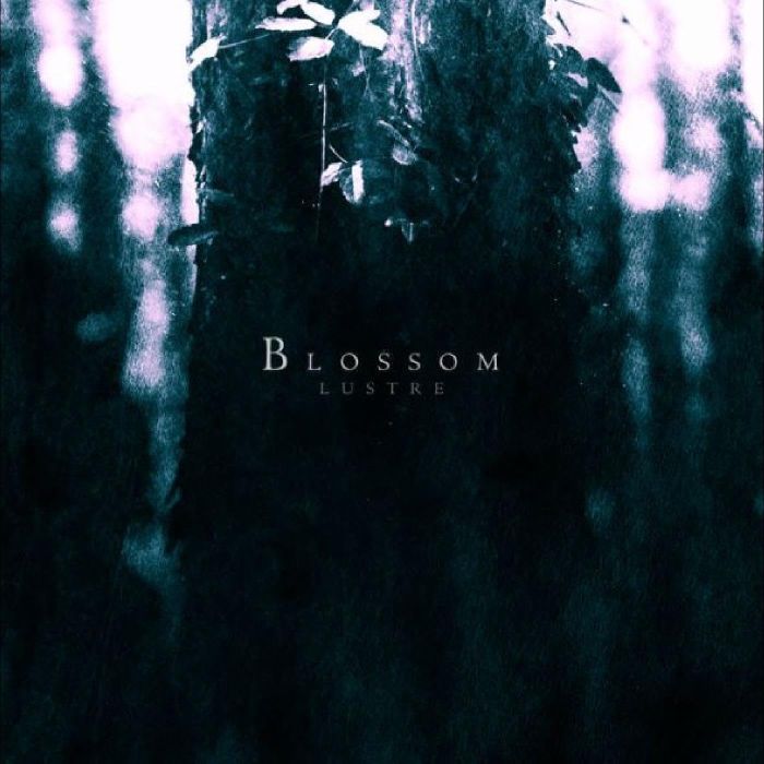 LUSTRE - BLOSSOM